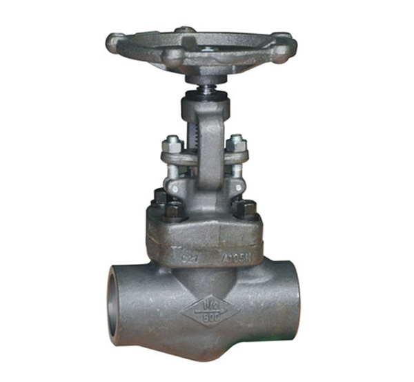 API602 Class 800# Globe Valve 