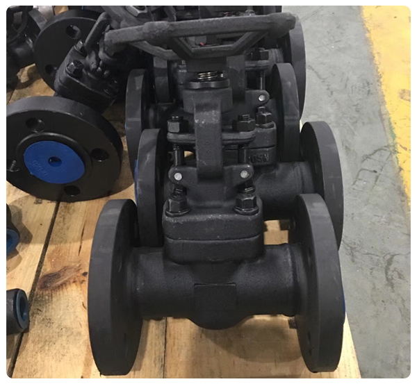 Forged flange Gate Valve