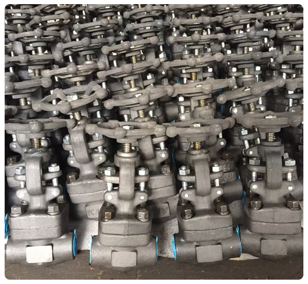 API602 Class800#  Gate Valve